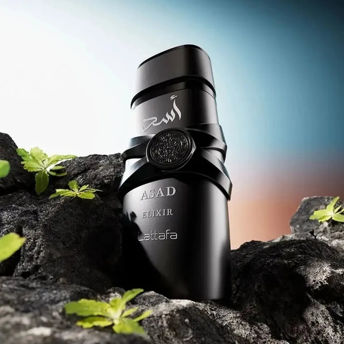 Perfume Árabe Hombre Lattafa Asad Elixir 100 Ml
