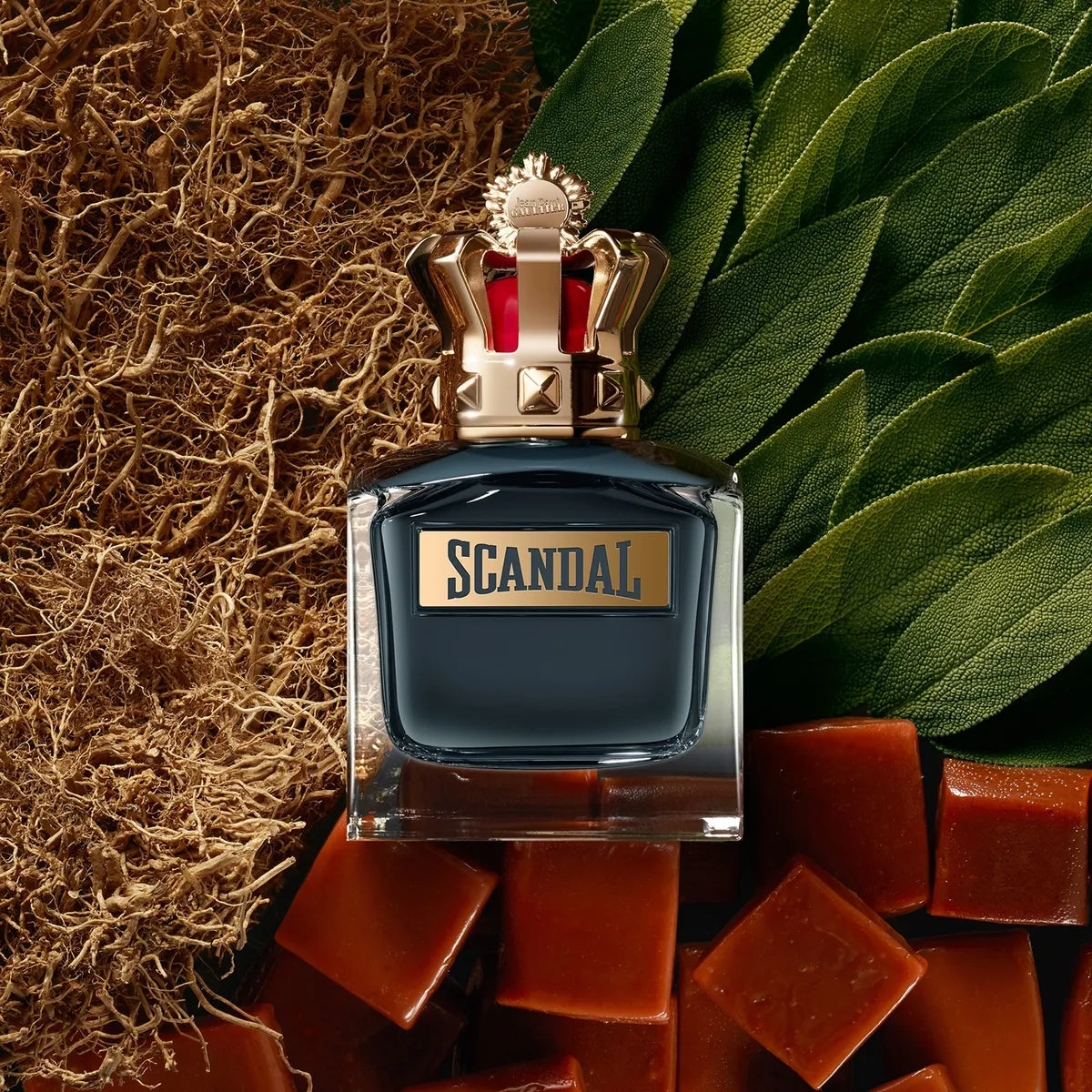 Perfume Hombre Scandal Pour Homme For Him 50 Ml Paul Gaultier